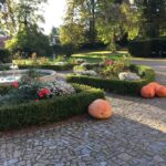 Zámecká zahrada: Místo, které obnoví vaši energii a pomůže najít vnitřní klid